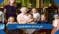 كم عدد أبناء الملكة إليزابيث الثانية ملكة إنجلترا
