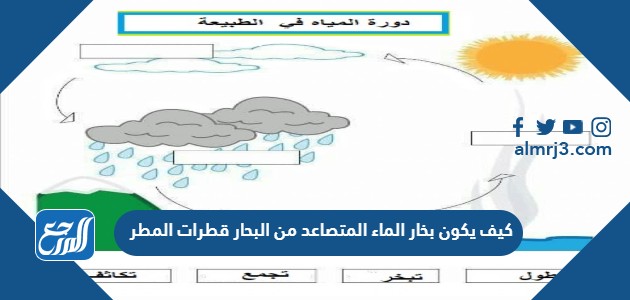 كيف يكون بخار الماء المتصاعد من البحار قطرات المطر
