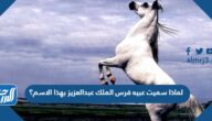 لماذا سميت عبيه فرس الملك عبدالعزيز بهذا الاسم؟
