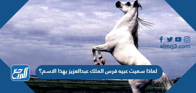 لماذا سميت عبيه فرس الملك عبدالعزيز بهذا الاسم؟