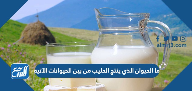 ما الحيوان الذي ينتج الحليب من بين الحيوانات الآتية