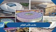ما هي ملاعب كأس العالم 2022 قطر