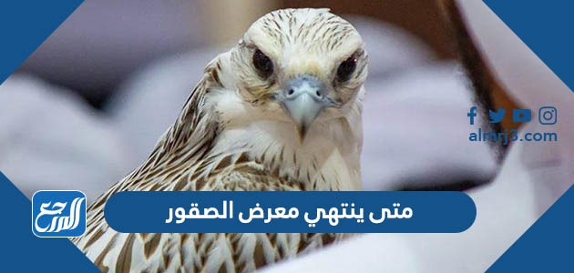 متى ينتهي معرض الصقور