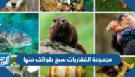مجموعة الفقاريات سبع طوائف منها