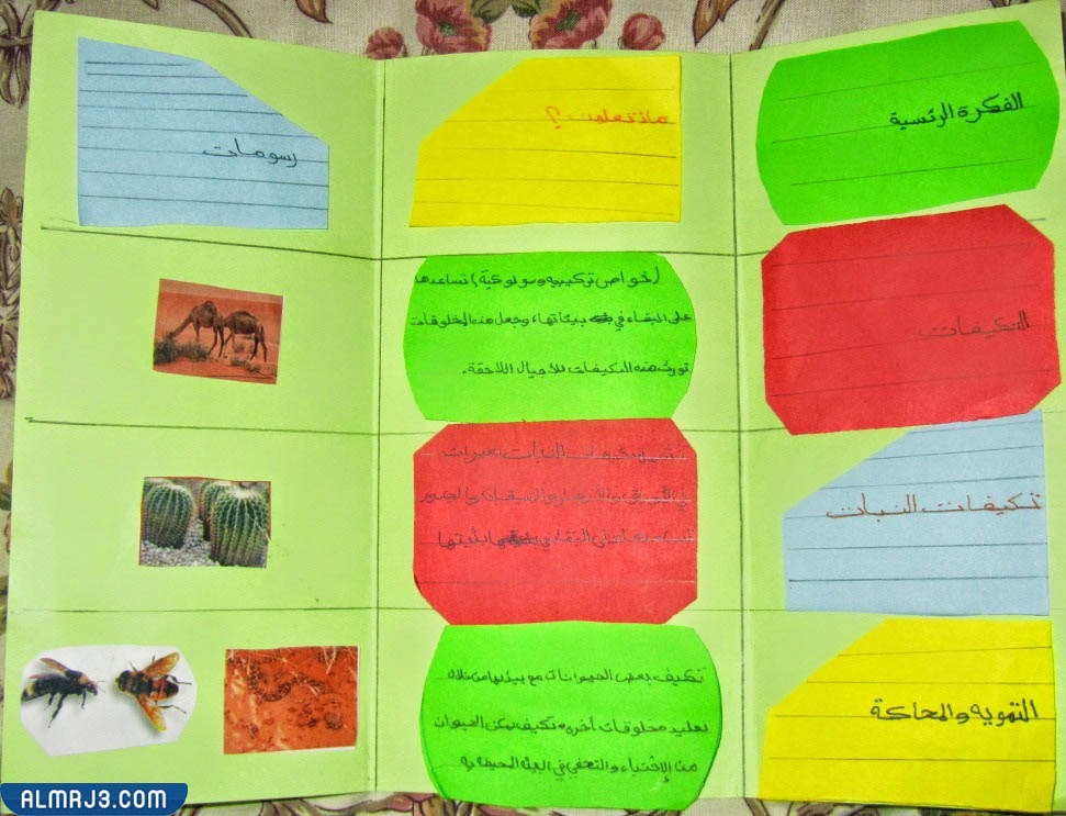 مطويات الصف الخامس الفصل الأول 1