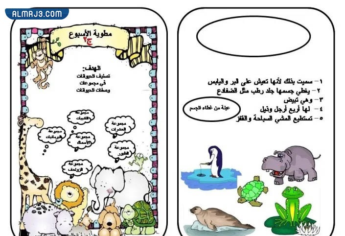 مطويات لتصنيف الكائنات الحية مع الأمثلة