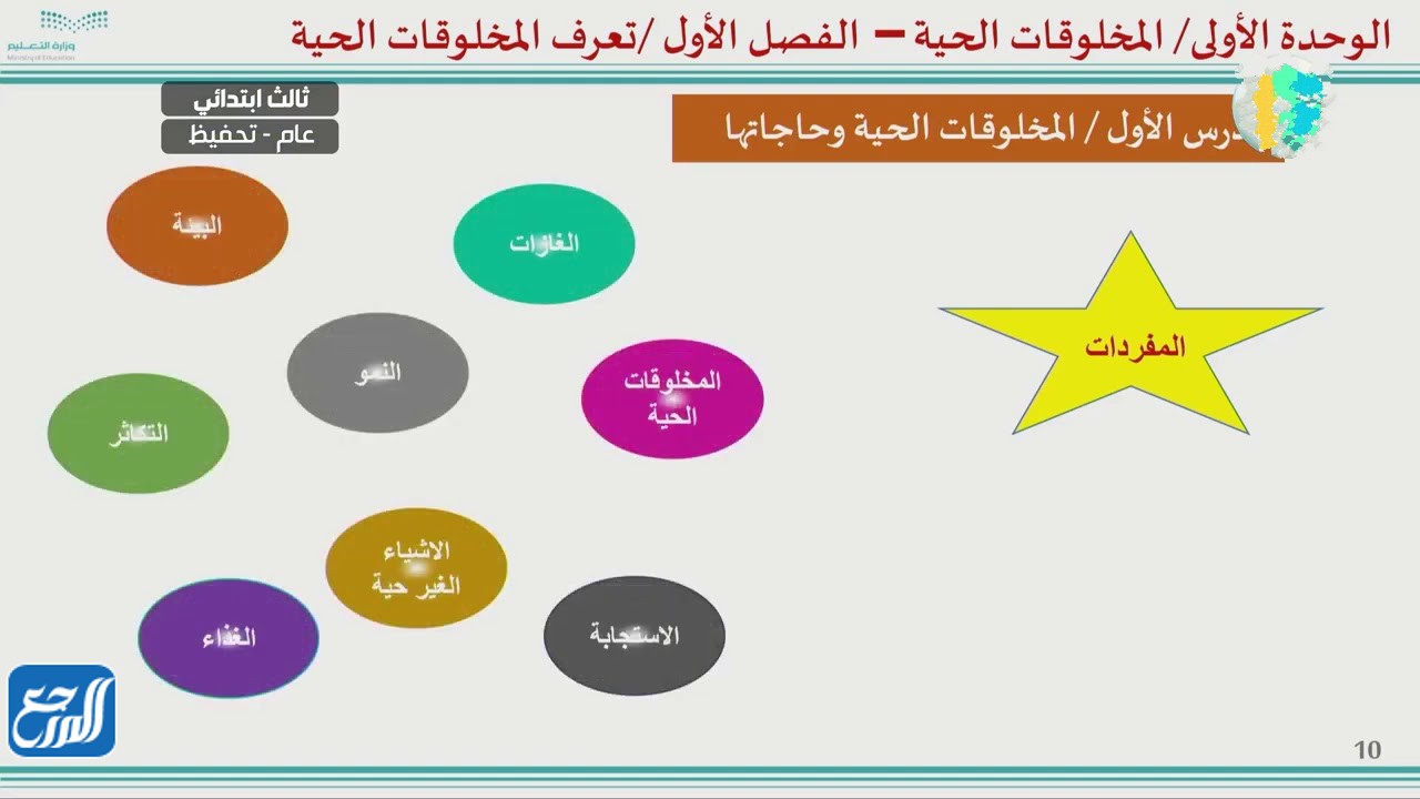 للأطفال مطوية عن الغذاء