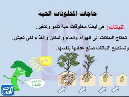 تحتاج المخلوقات الحية الى الماء والغذاء والمكان لكي تعيش