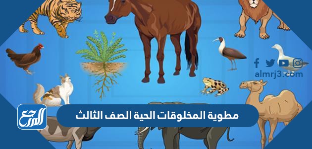 مطوية المخلوقات الحية الصف الثالث ابتدائي