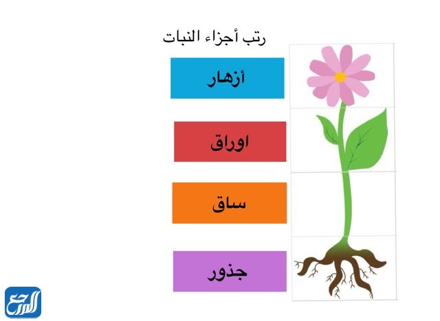 اشكال مطويات علوم