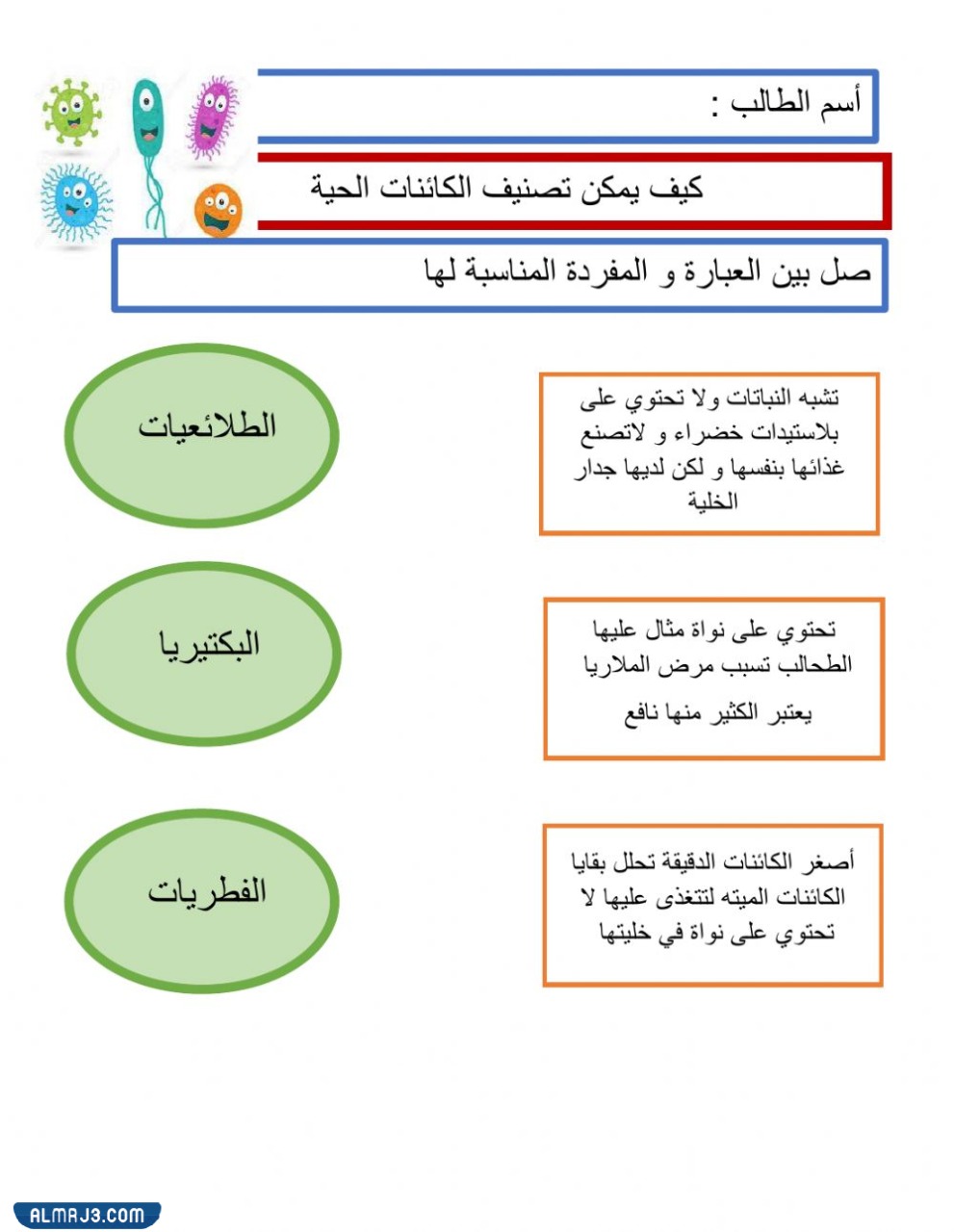 ( اختر الإجابة الصحيحة مما يلي أي المخلوقات الحية تصنف مخلوقا حيا متعدد الخلايا ولايصنع غذائه بنفسه )