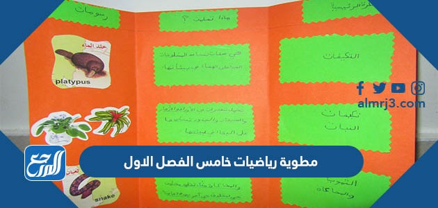 مطوية رياضيات خامس الفصل الاول