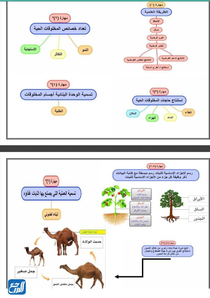 فقه ثالث ابتدائي الفصل الاول