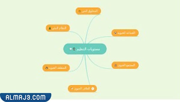 مطوية علوم رابع تصنيف المخلوقات الحية