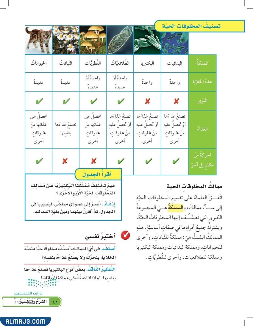 ( اختر الإجابة الصحيحة مما يلي أي المخلوقات الحية تصنف مخلوقا حيا متعدد الخلايا ولايصنع غذائه بنفسه )