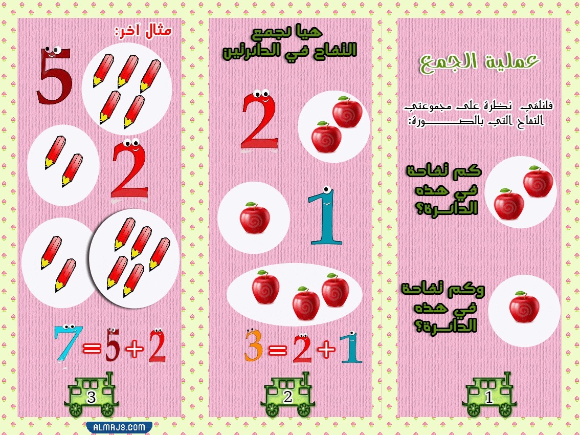 مطوية عن الجمع ثالث ابتدائي