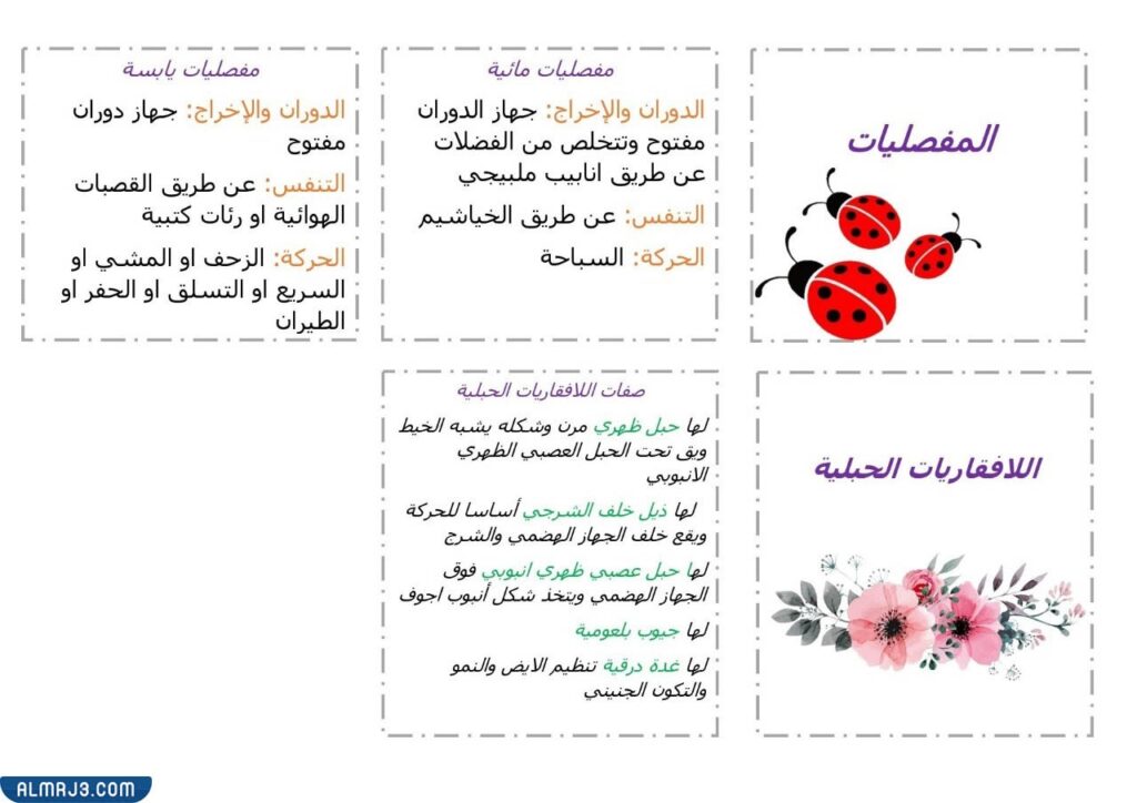 مطوية عن الحيوانات الفقارية واللافقارية