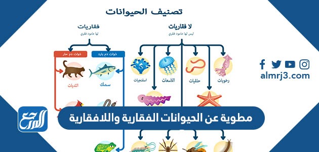 مطوية عن الحيوانات الفقارية واللافقارية