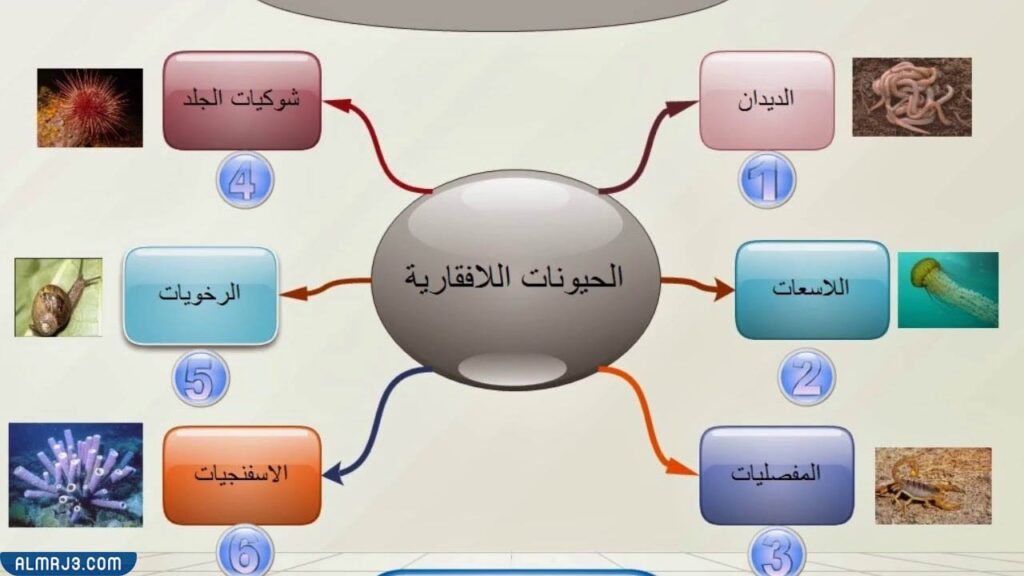 مطوية عن الحيوانات الفقارية واللافقارية
