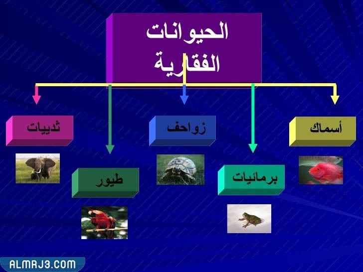 مطوية عن الحيوانات الفقارية واللافقارية
