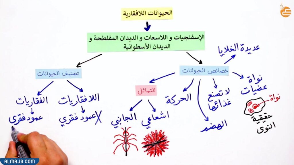 مطوية عن الحيوانات الفقارية واللافقارية