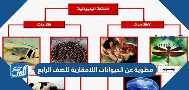 مطوية عن الحيوانات اللافقارية للصف الرابع