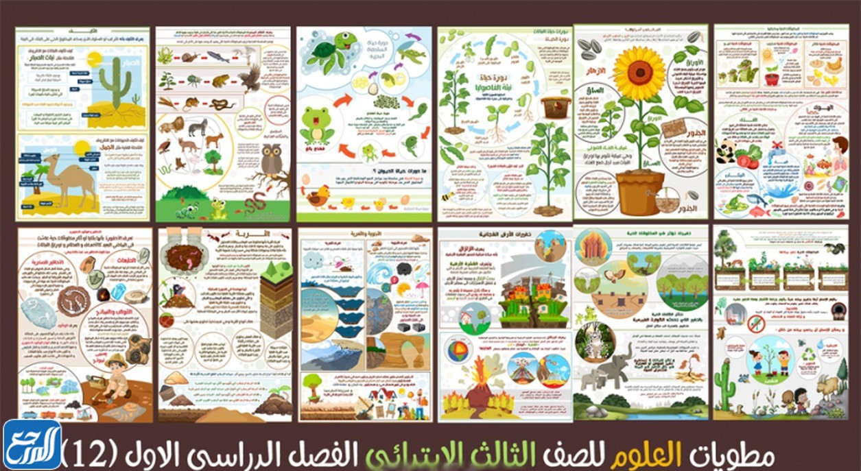 مطوية عن المخلوقات الحية وحاجاتها