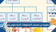 مطوية عن تصنيف المخلوقات الحية علوم رابع