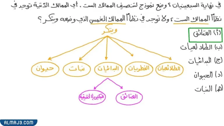 مطوية عن تصنيف المخلوقات الحية علوم رابع