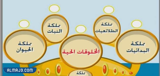 مطوية عن تصنيف المخلوقات الحية علوم رابع
