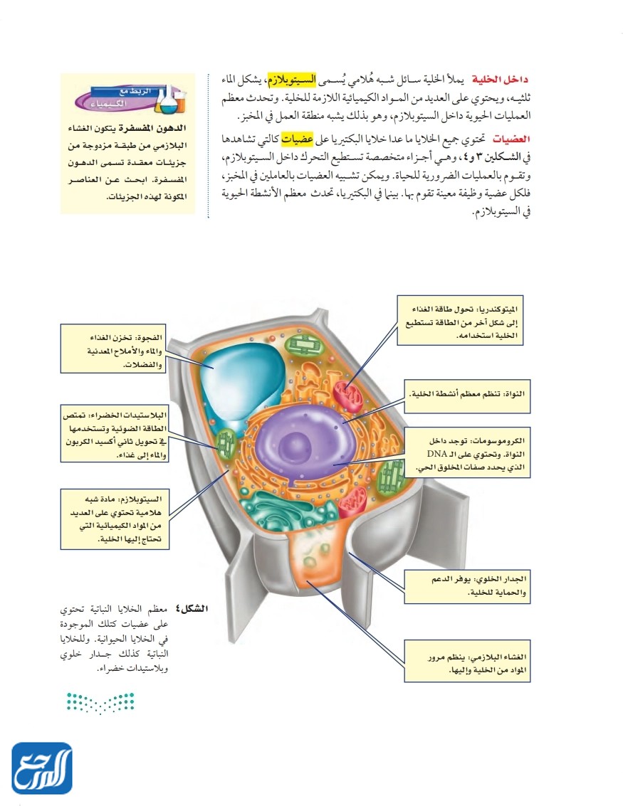 مطوية عن عالم الخلايا
