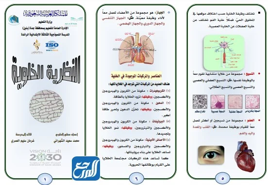 مطوية نظرية الخلية للصف السادس