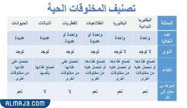 مطويه عن تصنيف المخلوقات الحيه
