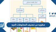 مطويه عن تصنيف المخلوقات الحيه