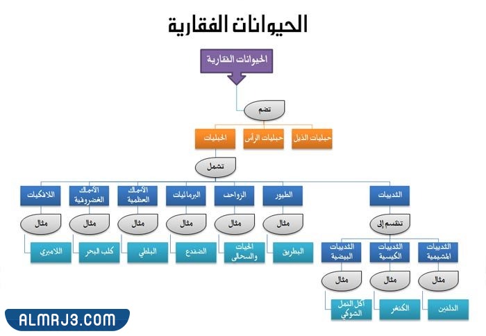 مطويه عن تصنيف المخلوقات الحيه