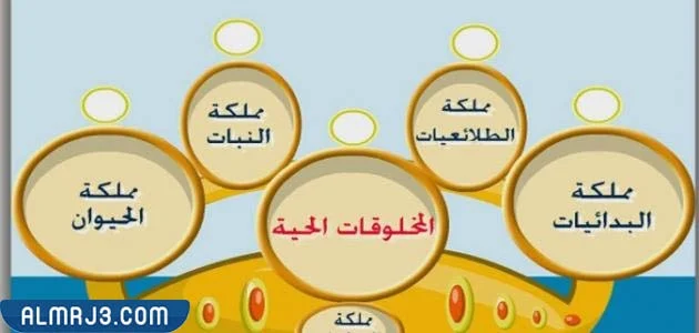 مطويه عن تصنيف المخلوقات الحيه