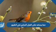مما يساعد على العزل الحراري في الطيور
