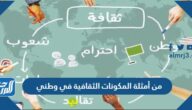من أمثلة المكونات الثقافية في وطني