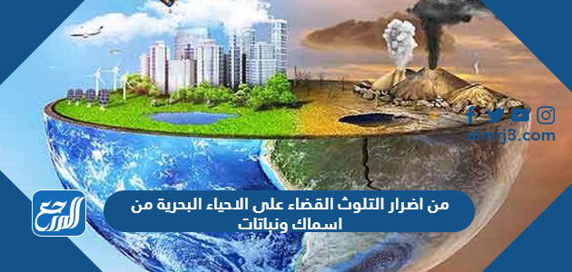 من اضرار التلوث القضاء على الاحياء البحرية من اسماك ونباتات