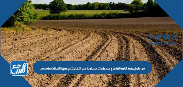 من طرق حفظ التربة اقتطاع مسطحات مستوية من التلال لتزرع فيها النباتات وتسمى