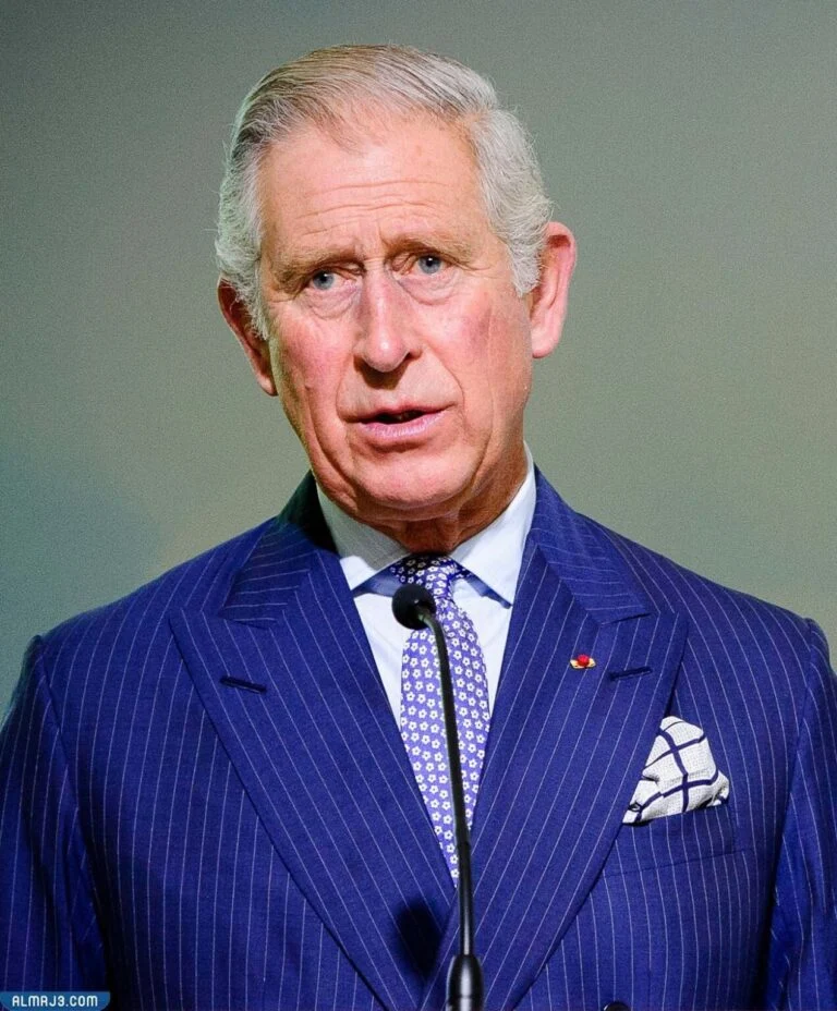 من هو الملك تشارلز ويكيبيديا