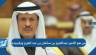 من هو الأمير عبدالعزيز بن سلمان بن عبد العزيز ويكيبيديا