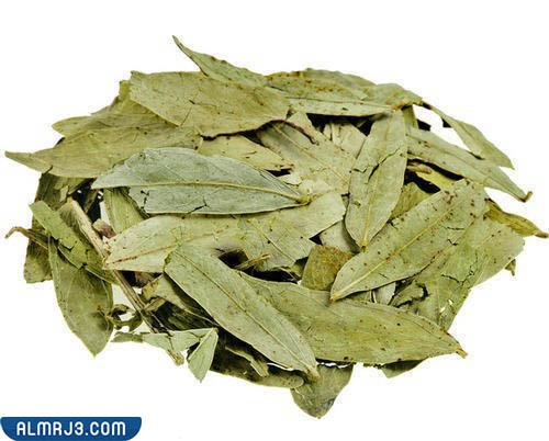 نصائح عند تناول السنامكي لعلاج الإمساك