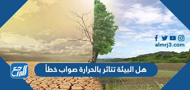 هل البيئة تتأثر بالحرارة صواب خطأ