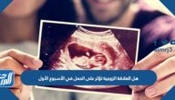 هل العلاقة الزوجية تؤثر على الحمل في الأسبوع الأول