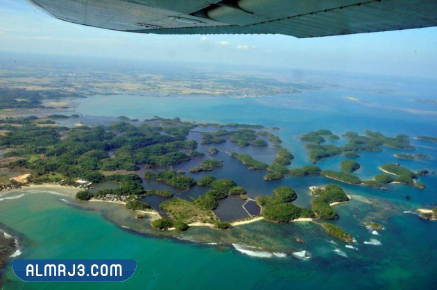 هل تعلم معلومات غريبة قد تكون جديدة عليك بالصور