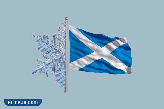 هل تعلم معلومات غريبة قد تكون جديدة عليك بالصور