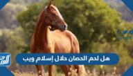 هل لحم الحصان حلال إسلام ويب