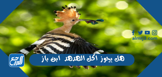 هل يجوز اكل الهدهد  ابن باز