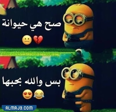 كيف اكتب بست فرند بالانجليزي